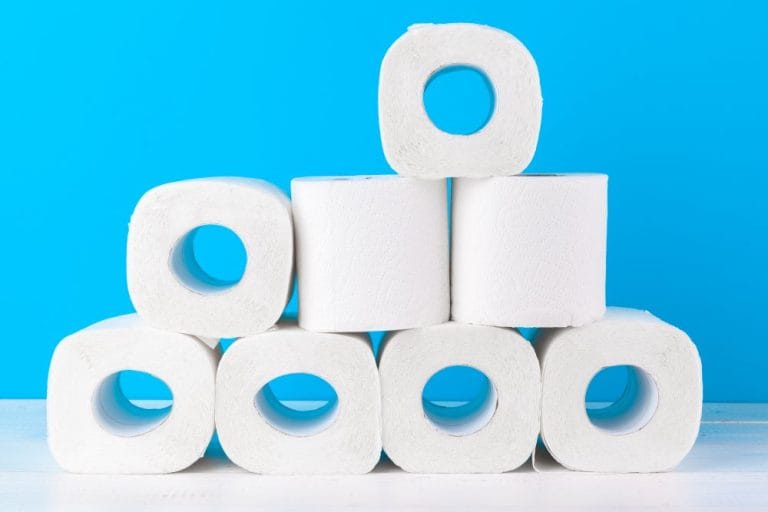toilet verstopt door wc-papier